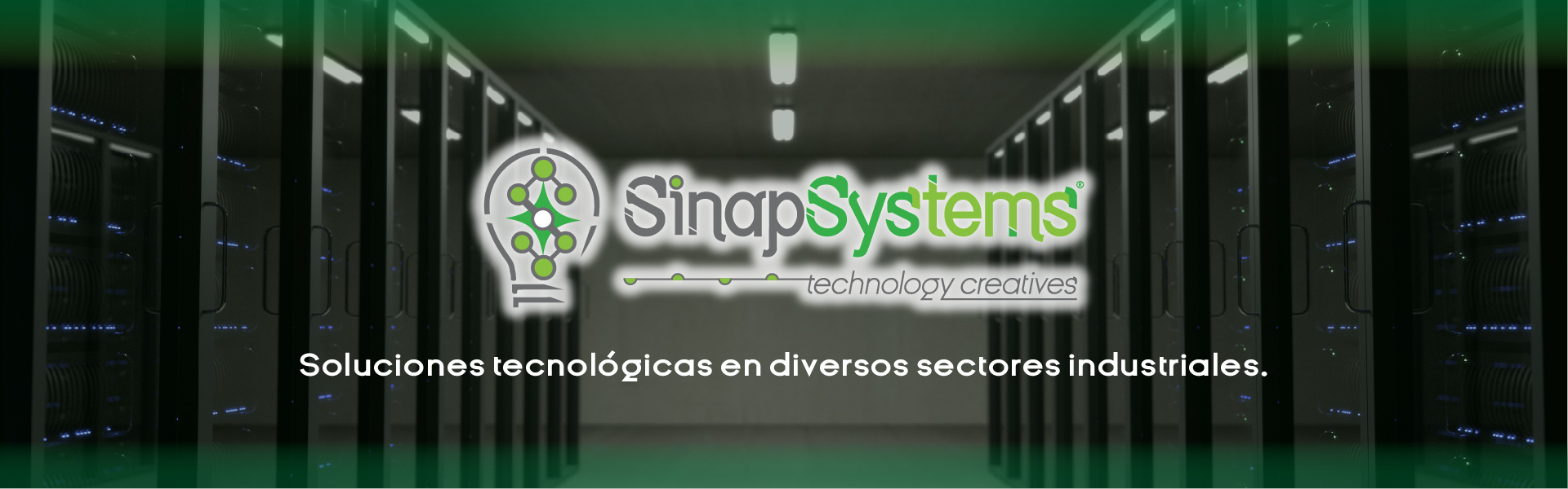 Sinapsystems