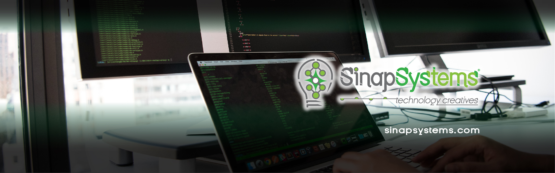 Sinapsystems